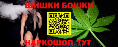 хмурый Сланцы