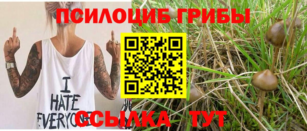 Псилоцибиновые грибы Magic Shrooms  Вход с VPN  Полысаево 