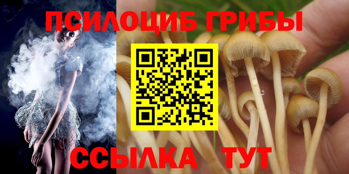 Галлюциногенные грибы MAGIC MUSHROOMS Полысаево